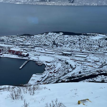 Narvik Sentrum Apartment Екстериор снимка